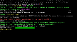 KNOPPIX-failed_mount.png