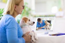 Online-consultation-with-veterinarian_FamVeld_Shutterstock.jpg Online-consultation-with-veterinarian_FamVeld_Shutterstock.jpg
