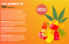 gummies (2).png