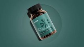 Bioma Probiotics.jpg Bioma Probiotics.jpg