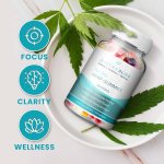 Tetra Bliss CBD Gummies USA.jpg Tetra Bliss CBD Gummies USA.jpg