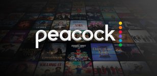 peacock (1).jpeg peacock (1).jpeg