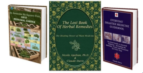 the_lost_book_of_herbal_remedies_download-660x339-1.png the_lost_book_of_herbal_remedies_download-660x339-1.png