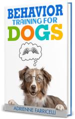 behavior-training.png behavior-training.png