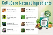 Cellucarengredients.jpg Cellucarengredients.jpg