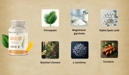 arialief-ingredients.jpg arialief-ingredients.jpg