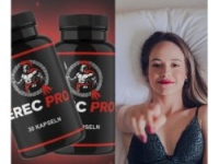 1764841215376.png 1764841215376.png