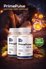 primepulse-hero-Dv-EVN9g.jpg