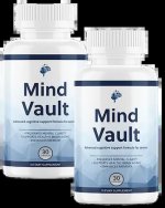 mind-vault.jpg