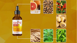 IGNIT INGREDIENTS.png