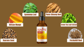 Ignite INGRE.png