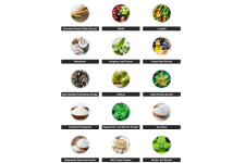 1733716778965.png 1733716778965.png