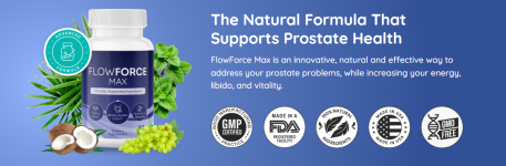 1733716872595.png 1733716872595.png