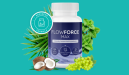 1734113025675.png 1734113025675.png