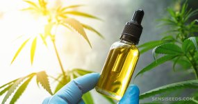 What-Is-Cannabidiol-CBD-scaled.jpg What-Is-Cannabidiol-CBD-scaled.jpg