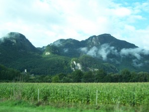 JPEG Repair Service Image 2